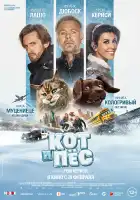 Кот и пёс смотреть онлайн (2024)